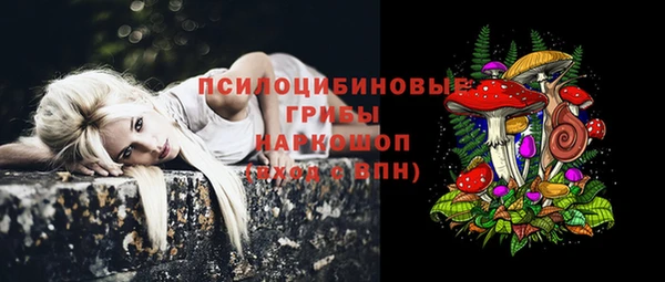 не бодяженный Волоколамск