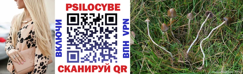 купить наркотики сайты  Строитель  Псилоцибиновые грибы прущие грибы 